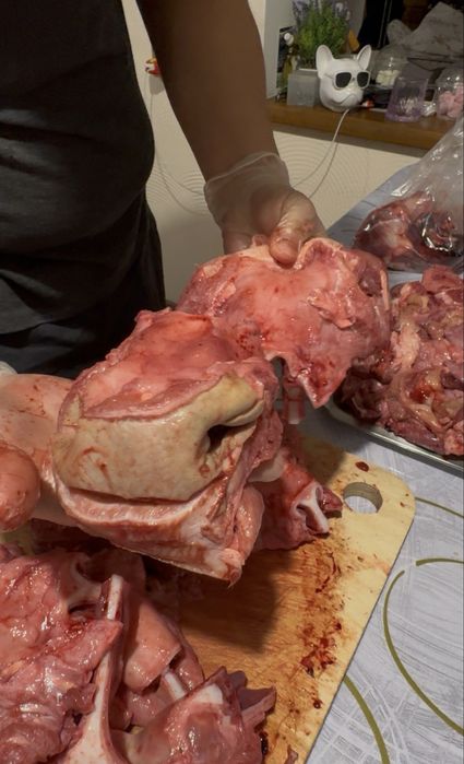 Стейк-нос для питомцев