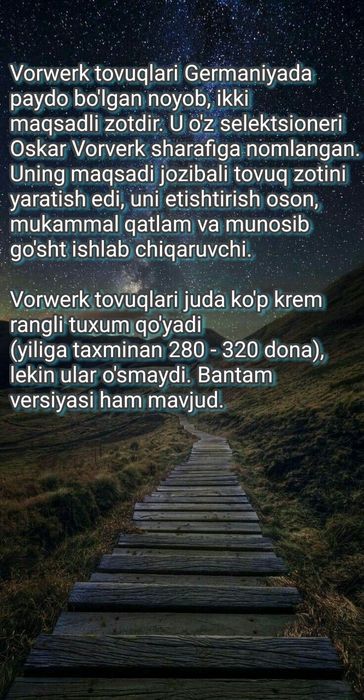 Немецкий форверк