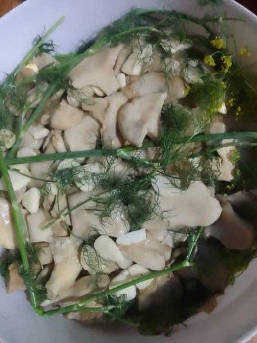 Продам грибы грузди соленые