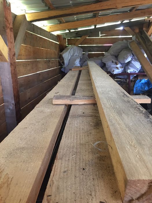 scândura din paltin de munte