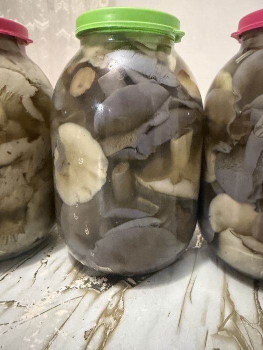Продам грибы рядовка!!!