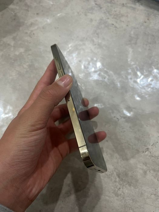 Айфон 12 pro max