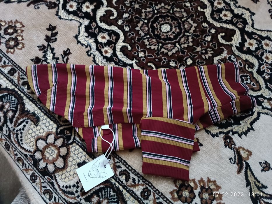 Кофточка для сфинксов Sка