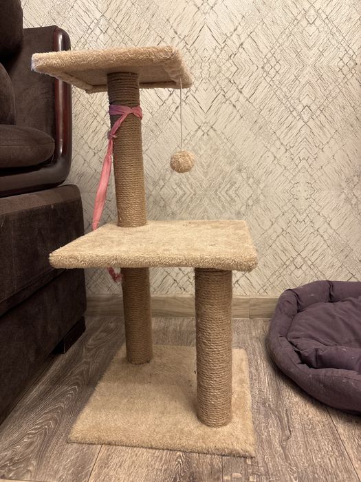 Продам когтеточку