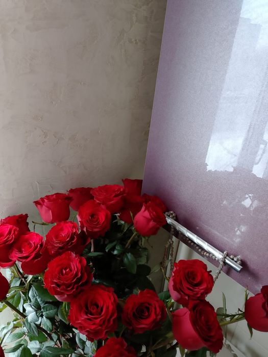 Гул роза галански