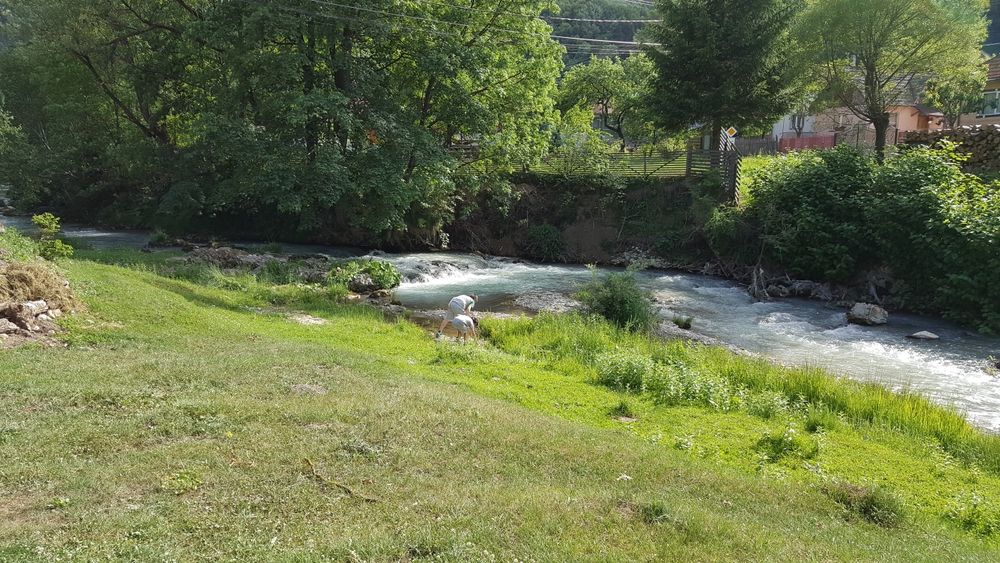 Vand teren intravilan in Statiunea Vama Buzaului