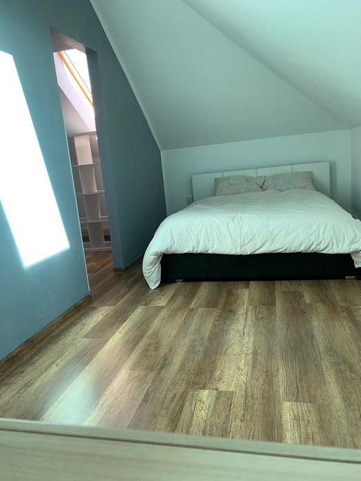 Închiriez apartament pet friendly