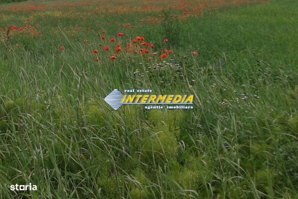 Teren intravilan  600 mp  - 1800 mp zona Valea Popi