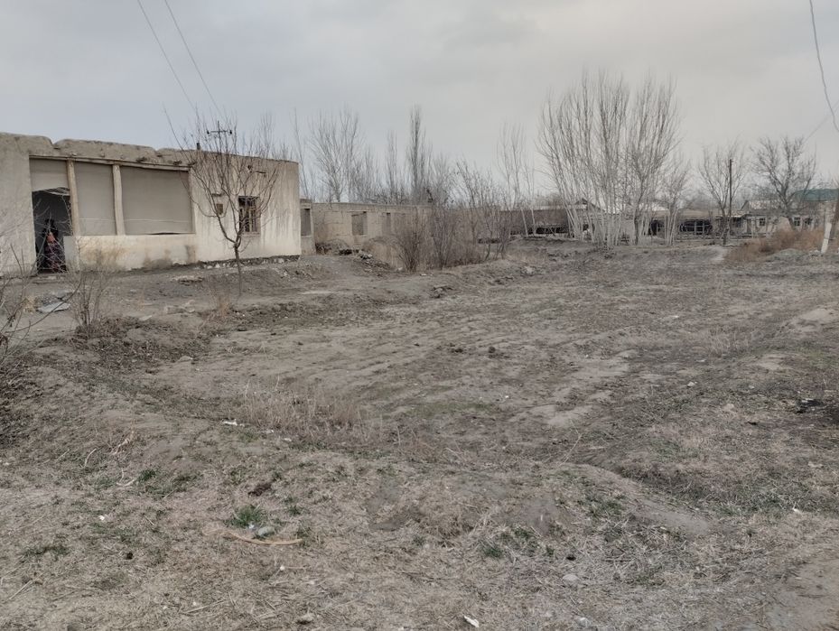 Uy joy 3 xujalikga moslashtirilgan