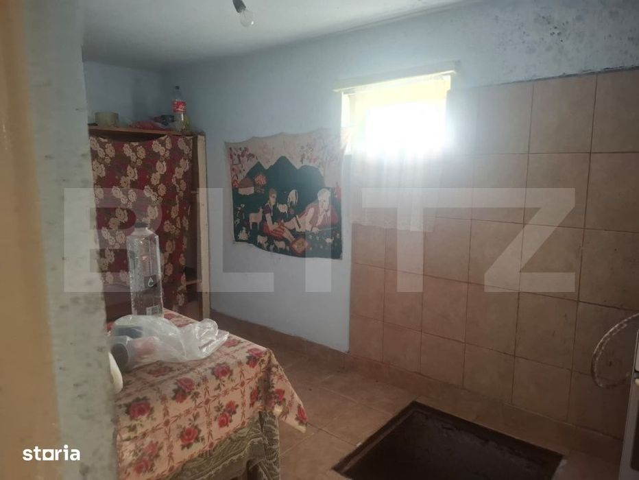 Proprietate cu 2 case, 2.100 mp teren si multiple anexe