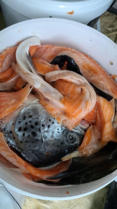 Суп набор  из семги