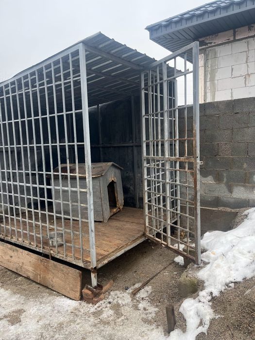 Немецкая овчарка