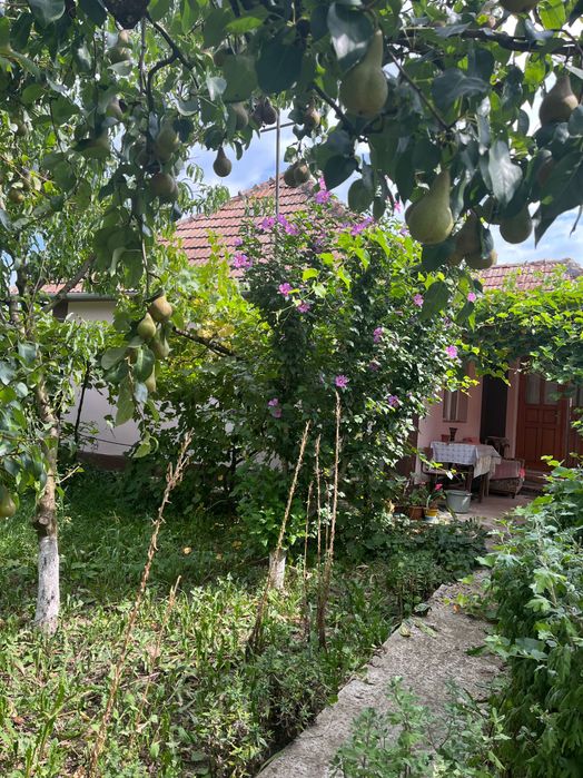 Vând casă localitatea Sucutard jud Cluj