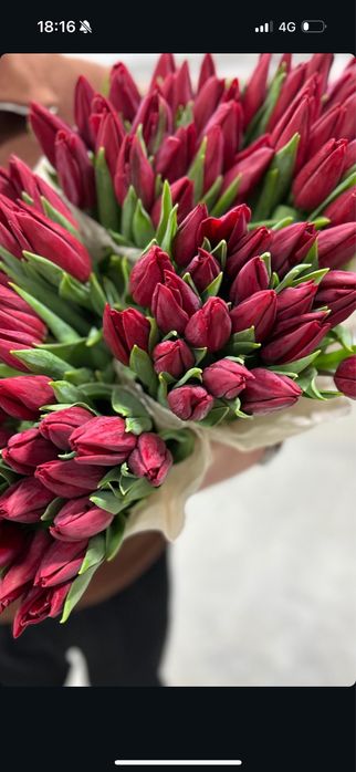 Тюльпан букеты, корпаративные букеты