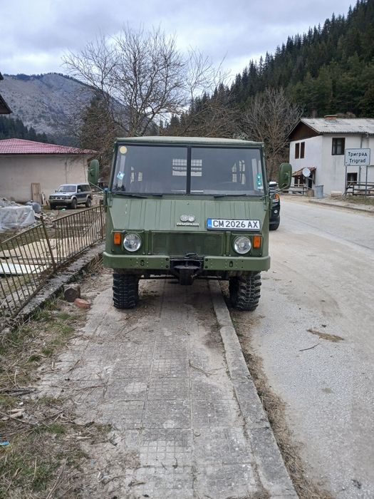 Stayer  Pinzgauer