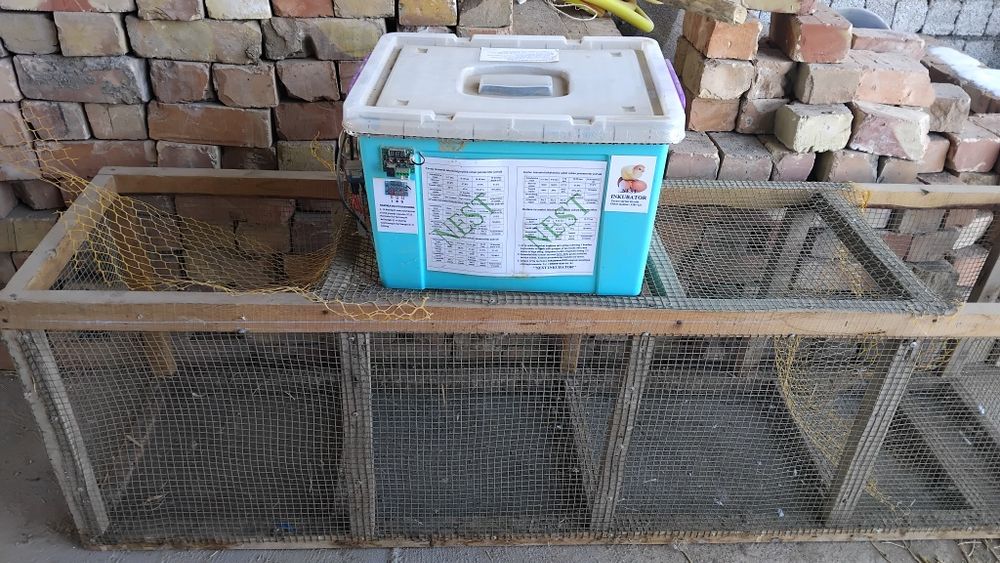 Инкубатор сотилади