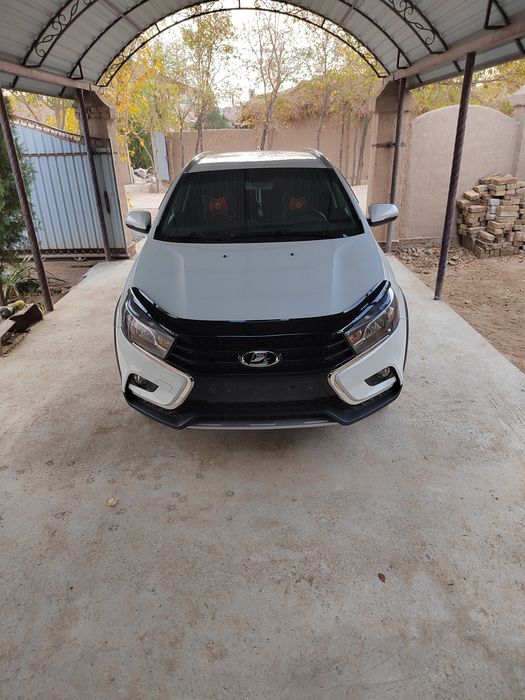 Краска тоза 100%