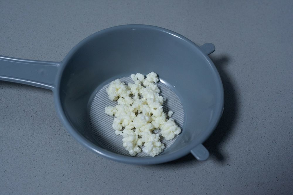 Vand ciuperca de kefir