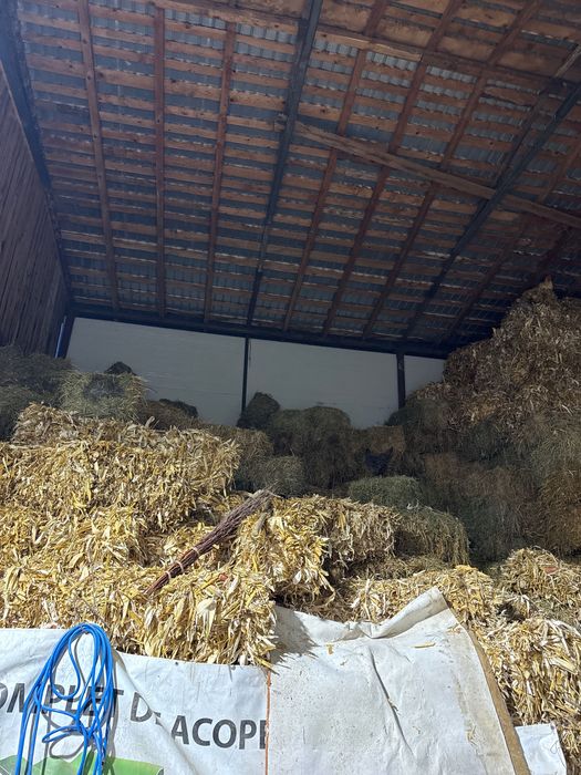 Baloți de paie și lucernă