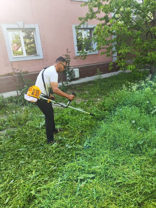 Пакос травы очистка теретори
