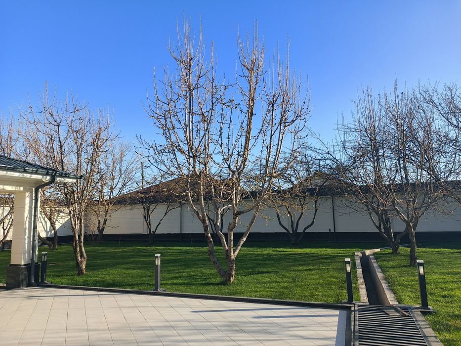 Gul va archa gazon ekish mevali darxtlar  ekish xizmati