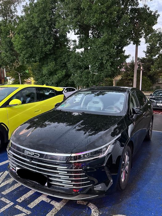 Byd Chazor luxe