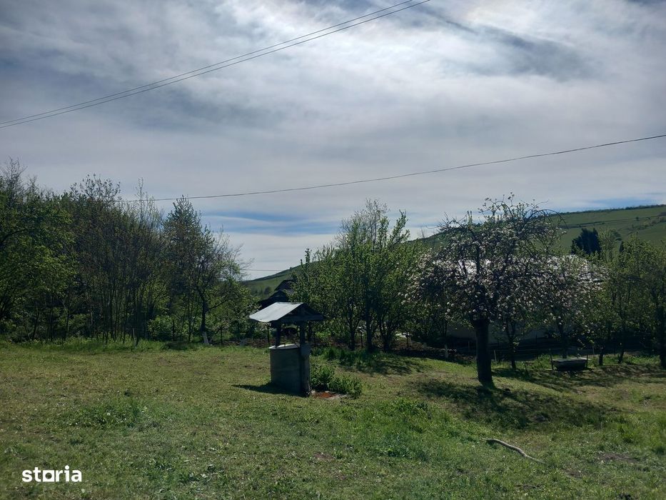 Teren spectaculos ,Porumbeni12.822 mp  livadă,case și panoramă superba