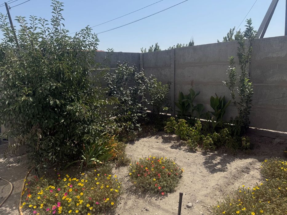 Особняк на два хозяина