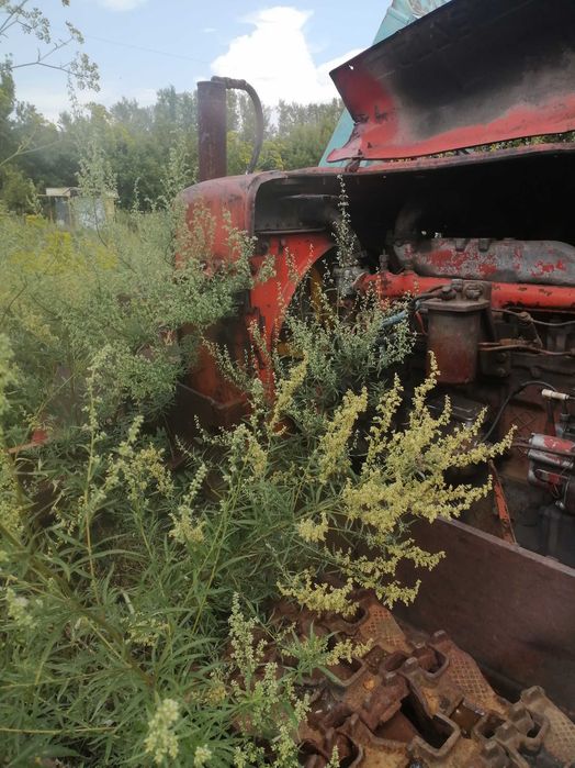 Продам дт 75 в хорошем состоянии