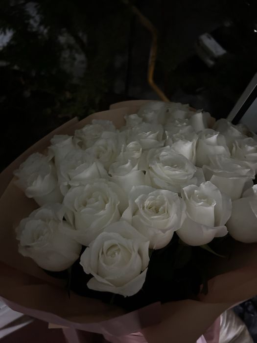 Роза падорки букеты 31 штук