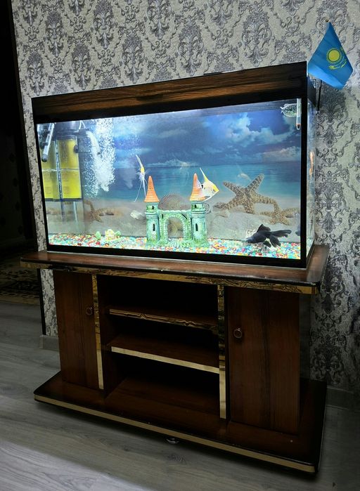 Аквариум в идеальном состоянии