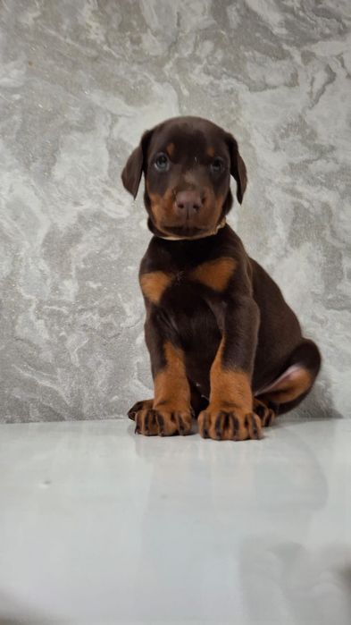 С документами дети