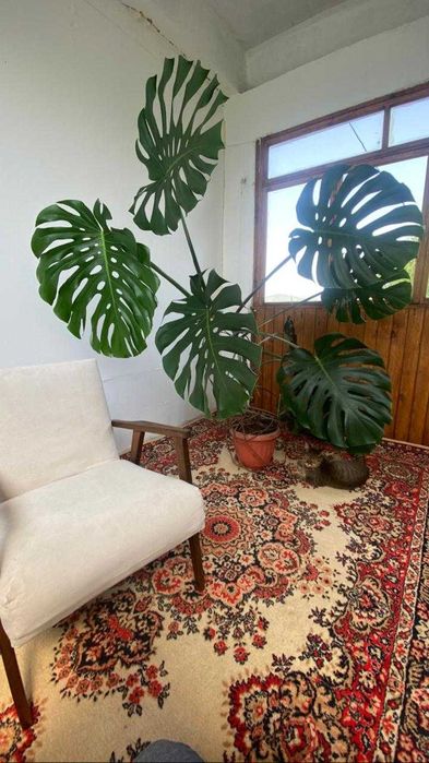 Продам 3х, ул. Новаторов, 15