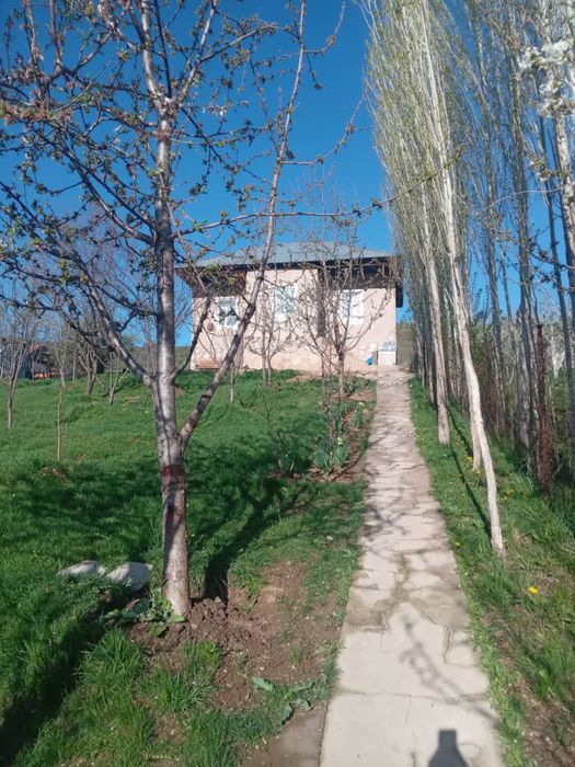 Уй Сотлади Чимёонда