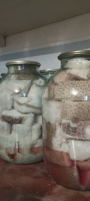 Продам сало свежесолёное