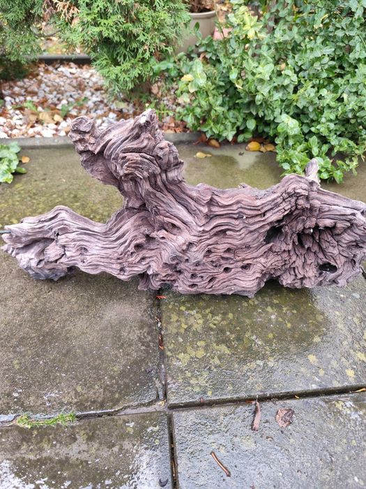 Lemn decor pentru acvariu