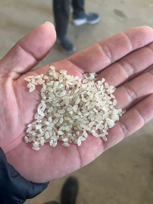 Күріш сатылады!!