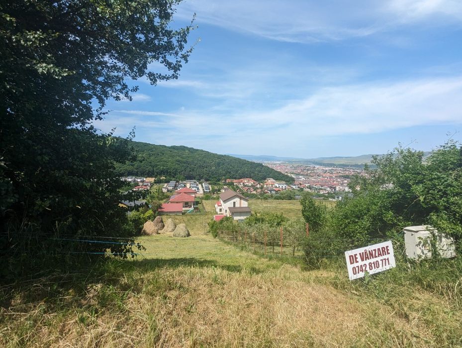 Teren intravilan Floresti str.Narciselor 1380 mp