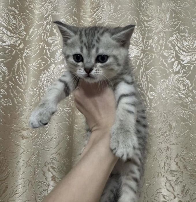 Милые малыши мальчики и девлчки