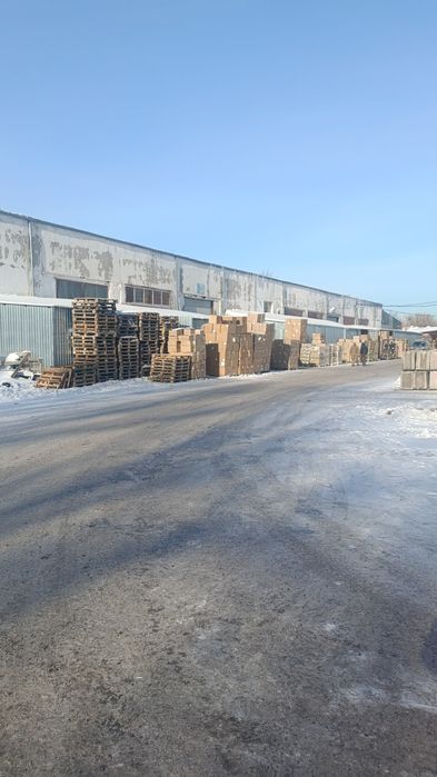 поддоны деревянные