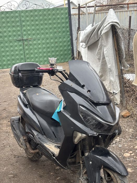 В продаже мопед Макси