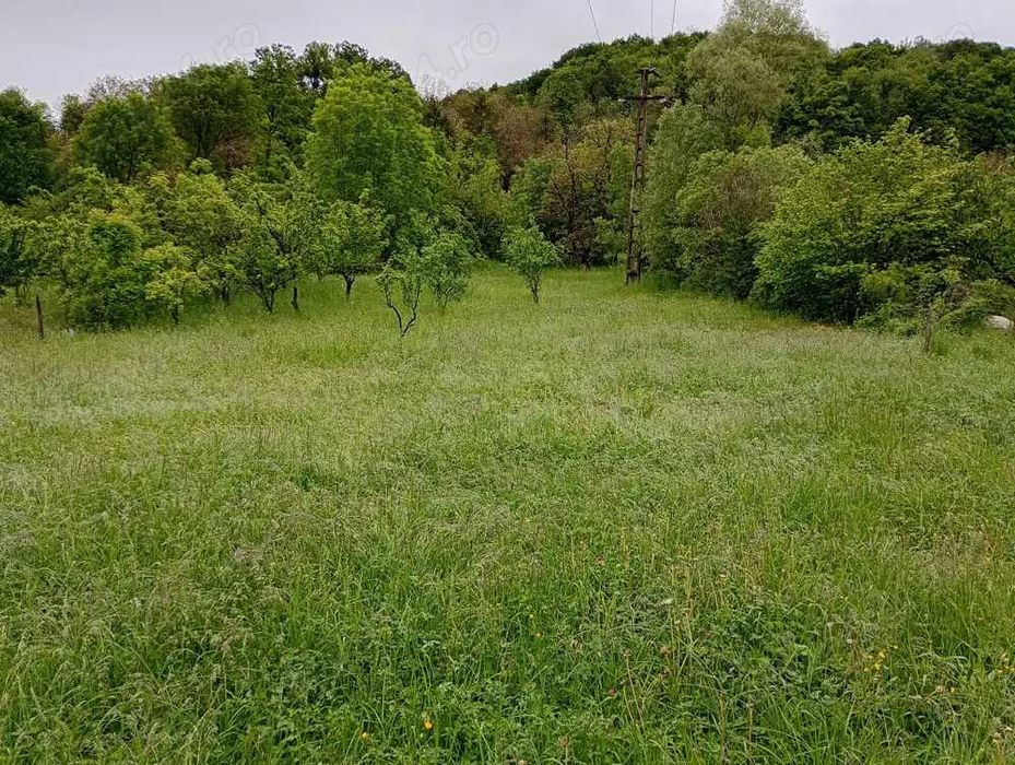 Teren intravilan în Fieni, 1628 mp