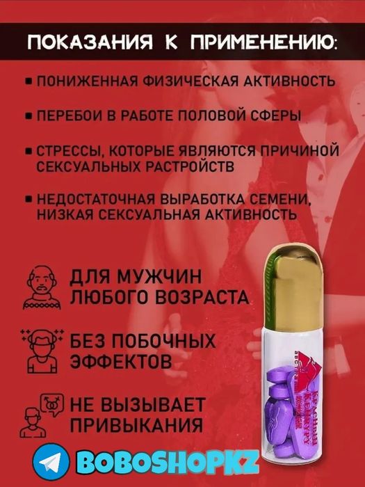 катализаторнаш пакенгурма