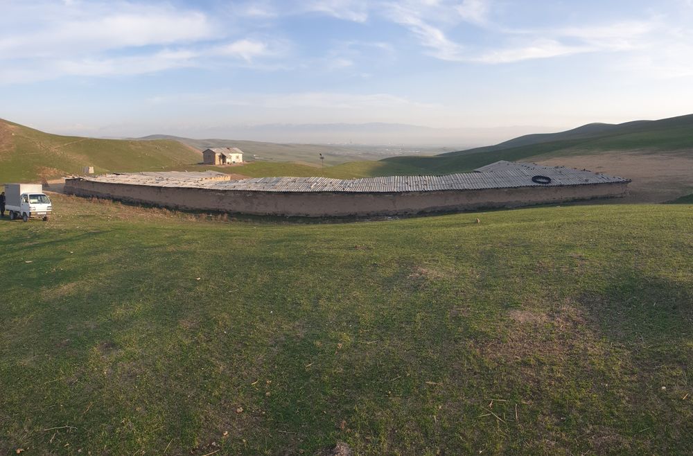 Куй кура сотилади 15 сотих куй бокишга мулжалланган