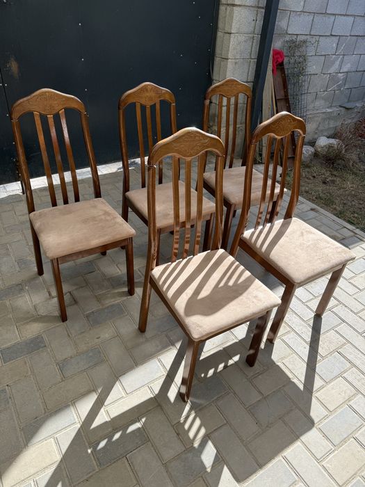 Стулья 5 штук все за  18000