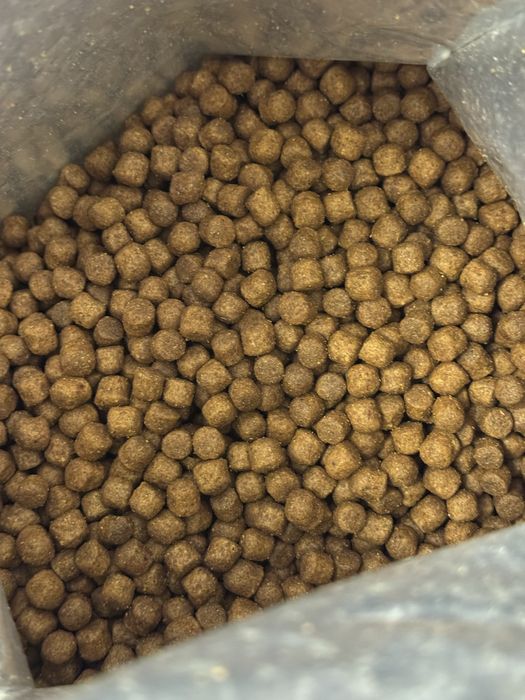 Grandorf грандорф корм