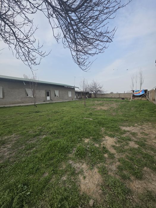 Янги Арғин  Мурод Шералиев маҳалласида 11 сот. ер участкаси сотилади