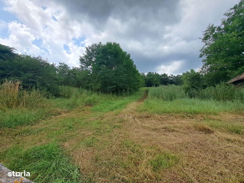 Teren intravilan- (2219  mp) de vanzare in  Berghin