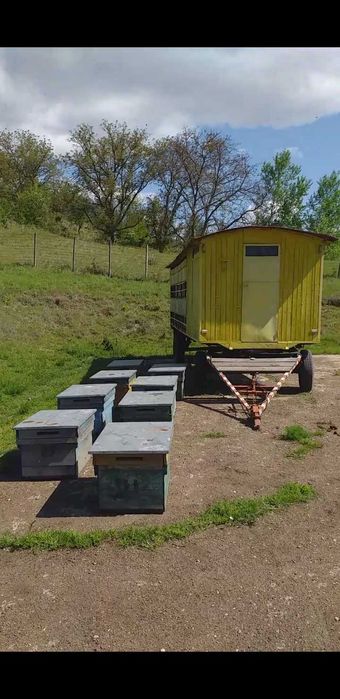 Vând pavilion apicol 36 stupi verticali