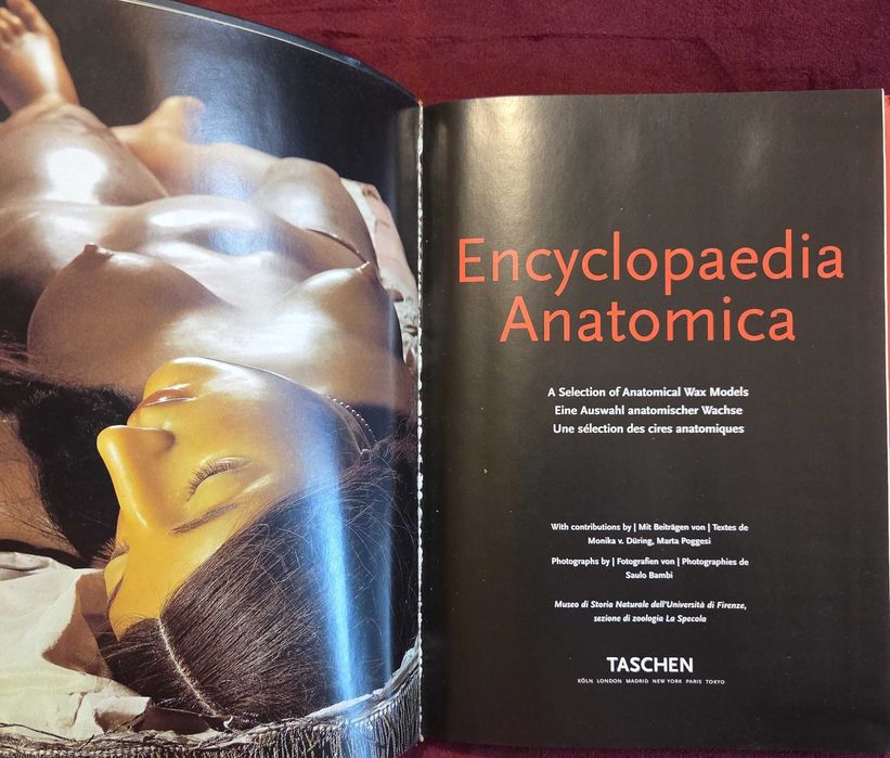 Encyclopaedia Аnatomica